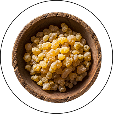 Boswellia frereana